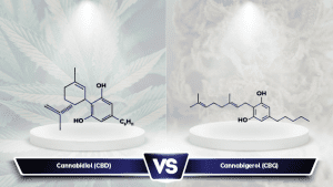 Image CBG vs CBD